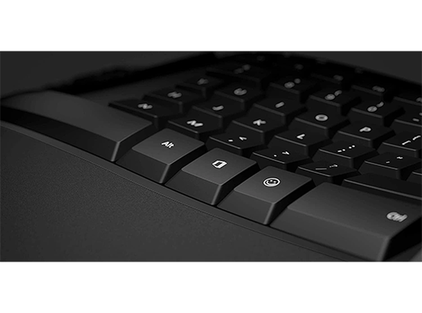 Tipkovnica USB Microsoft Natural Ergonomic črna