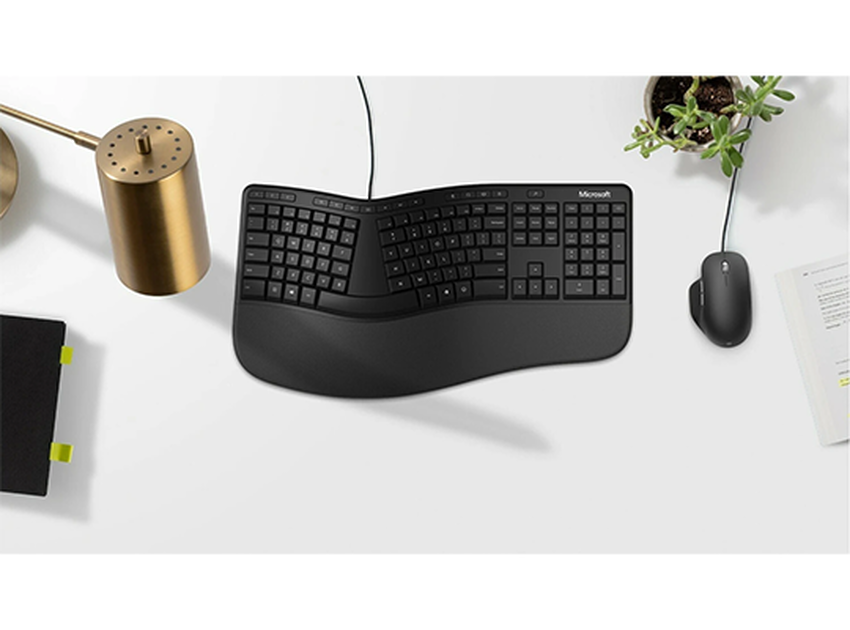 Tipkovnica USB Microsoft Natural Ergonomic črna