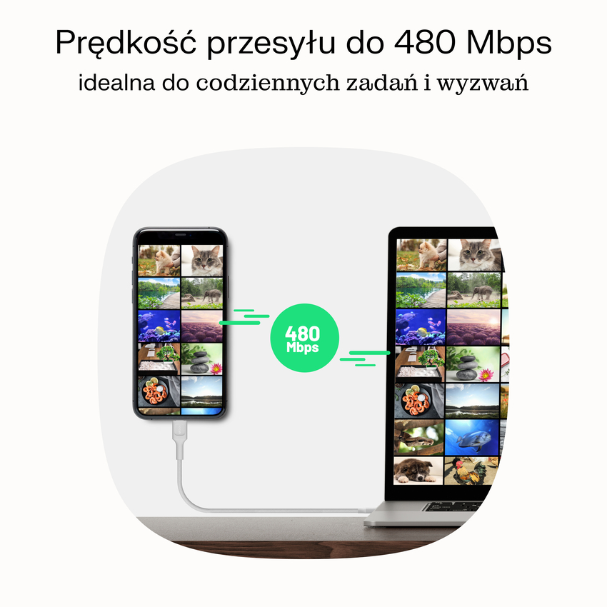 USB-C kabel 0.3m 100W Greencell PowerStream Fast Charging PD Snow bel (KABGC100PS30SW)
