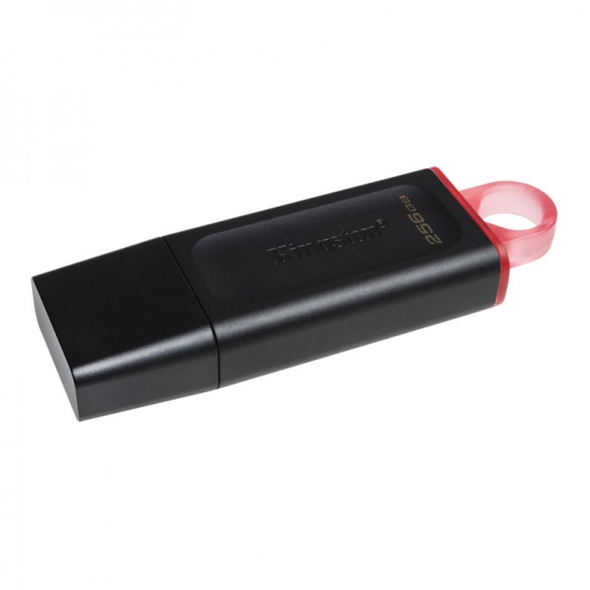 USB ključek 256GB Kingston USB 3.2