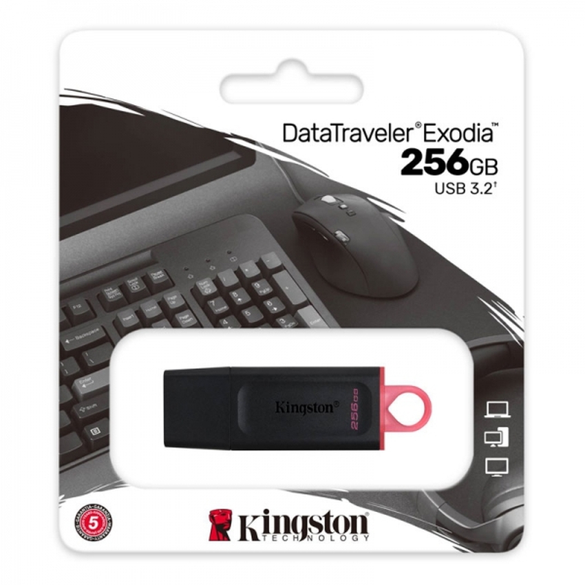 USB ključek 256GB Kingston USB 3.2
